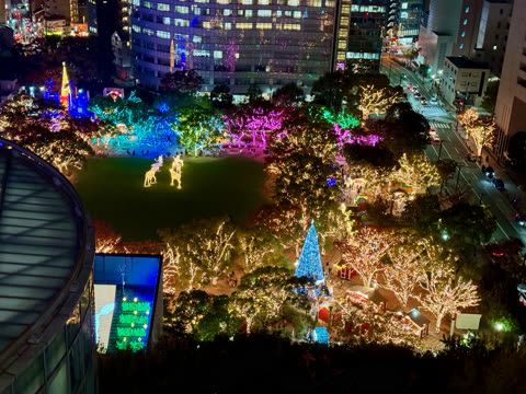 A high-angle view shows a city park at night where trees and displays are illuminated with thousands of multicolored lights.