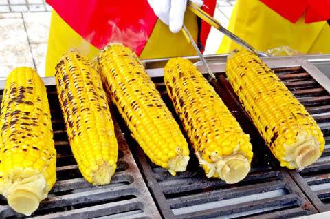 Person grilling corn on the cob using tongs.