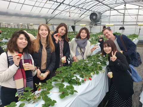 Six people hold strawberries in a greenhouse.
