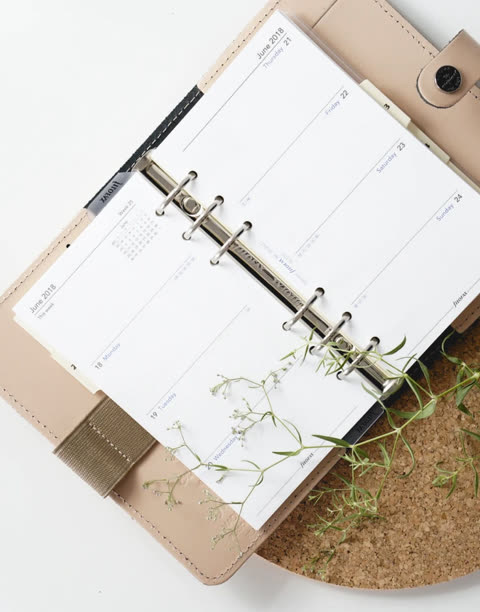 Open planner showing June 2018 dates, with small plants resting on it.