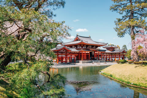 A red and grey traditional Japanese temple stands across a pond surrounded by pine and blooming cherry blossom trees.