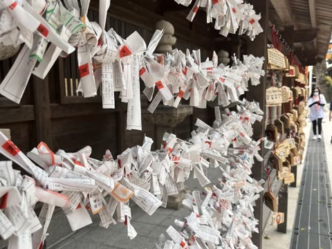 Numerous white paper slips with Japanese characters are knotted onto wires in rows at an outdoor wooden shrine.